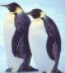 thumbnail for item Image for Joke: Why Do Two Penguins In A Nest Always Agree?